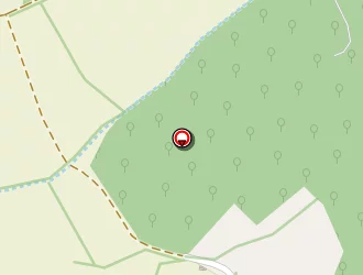 Carte de Jamin Michel à Saint-thurial