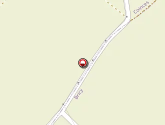 Carte de Picault (earl) à Bricy