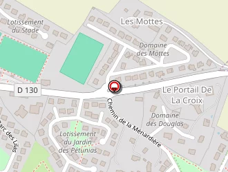 Carte de Leveillé Emmanuel à Forcé