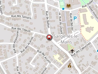 Carte de La Poste à Sargé-lès-le-mans