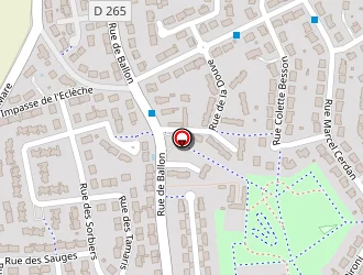 Carte de Duval Pascale à Sargé-lès-le-mans