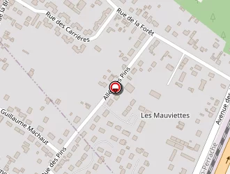 Carte de Magalhaes à Cepoy