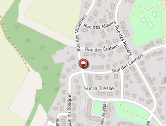 Carte de Verney Cyrille à Nogent