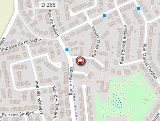 Carte de Rouault Emmannuel à Sargé-lès-le-mans