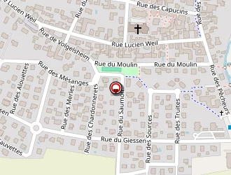 Carte de Taxi Azur à Biesheim