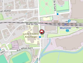 Carte de Susin Michel à Munster