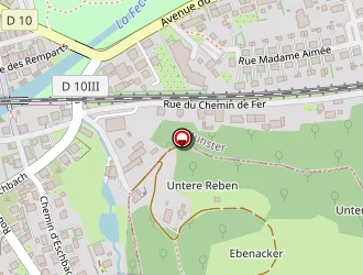 Carte de Avenas Gérard à Munster