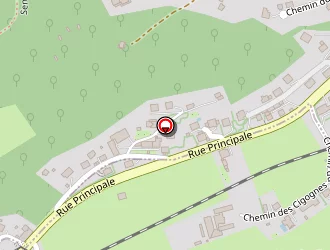 Carte de E.i. Gravure à Munster