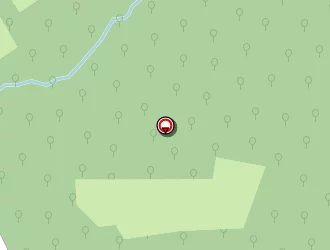 Carte de Pancher Thomas à Saint-denis-d'orques