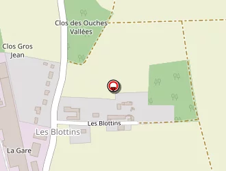 Carte de M . T . M . Chesnoy à Saint-loup-des-vignes