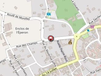 Carte de Taxi Branche à Ervy-le-châtel