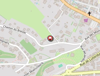 Carte de Delacour Marion à Munster