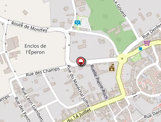 Carte de Arnault Frédéric à Ervy-le-châtel