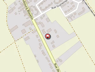 Carte de Du Parc (earl) à Patay