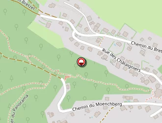 Carte de Wojnicki Mario à Munster