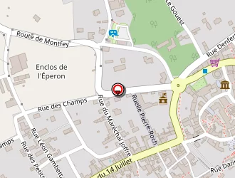 Carte de Mairie à Ervy-le-châtel