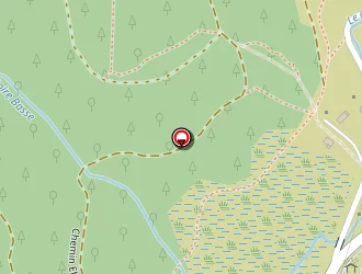 Carte de Snowludique à Bresse (la)