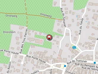 Carte de Tomb' Entretien à Eguisheim