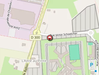 Carte de Demulder Eric à Coulaines