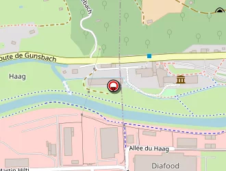 Carte de Chalets Buhl Réalisations à Munster