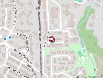 Carte de Bakkhos à Vern-sur-seiche