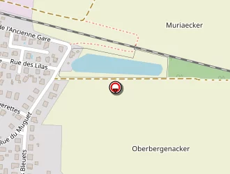 Carte de Association Pêche Pisciculture à Sundhoffen