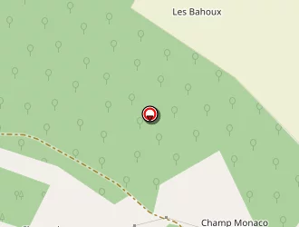 Carte de Paupe Thierry à Ervy-le-châtel