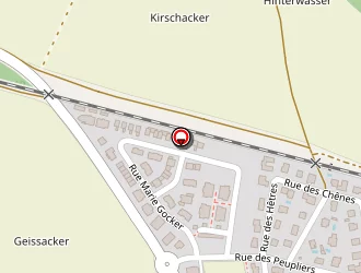 Carte de Bettinger à Sundhoffen