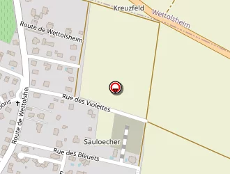 Carte de Szmidt Jean Claude à Eguisheim