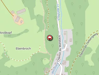 Carte de Bentz Michel à Munster