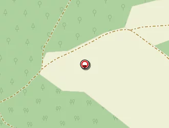 Carte de Bauer (nicolas) à Raon-aux-bois