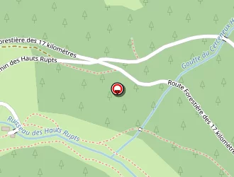 Carte de Dieudonné François à Gérardmer