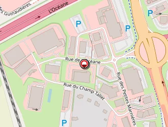 Carte de Terre De Son à Saint-saturnin