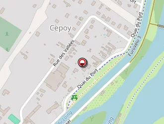 Carte de Delmas Richard à Cepoy