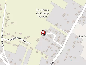 Carte de Souchot Patrice à Cepoy