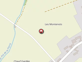 Carte de Guitel Jérôme à Racines