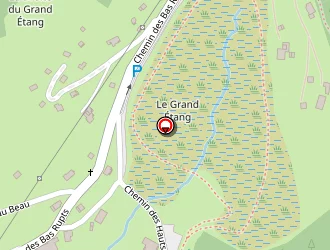 Carte de Les Spatules à Gérardmer