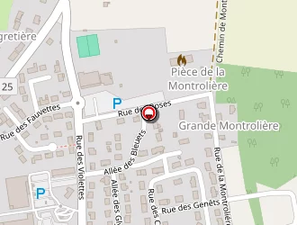 Carte de Tryba à Montfort-le-gesnois