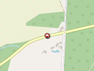 Carte de Electronic Amusements à Lavaré