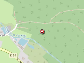 Carte de Arnaud Faivre à Raon-aux-bois