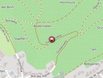 Carte de La Vieille Forge à Turckheim