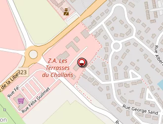 Carte de Perret Aline à Connerré