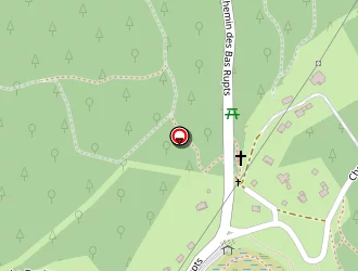 Carte de Denis Habitat Services à Gérardmer