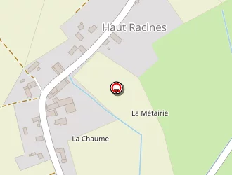 Carte de Thiel Michaël à Racines