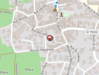 Carte de Geissler Claude à Wettolsheim