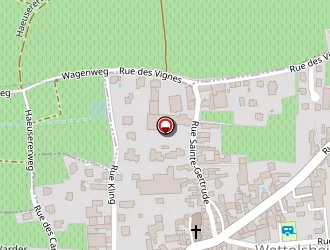 Carte de Speedy à Wintzenheim