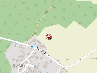 Carte de Camus Jonathan à Venizy