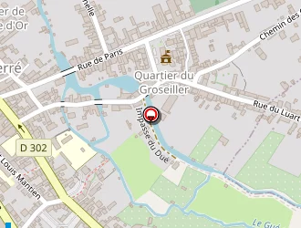 Carte de Teissier Patrick à Connerré