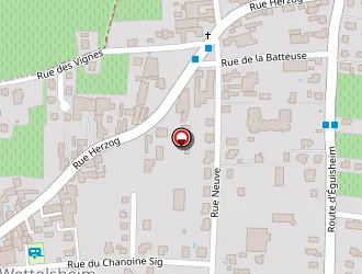 Carte de Chaussures Dany à Wintzenheim