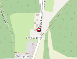 Carte de Moncelet Bruno à Montfort-le-gesnois